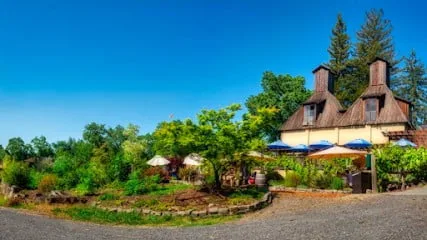 Russian-River-Vineyards