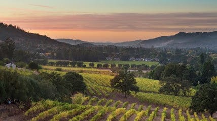 Landmark-Vineyards